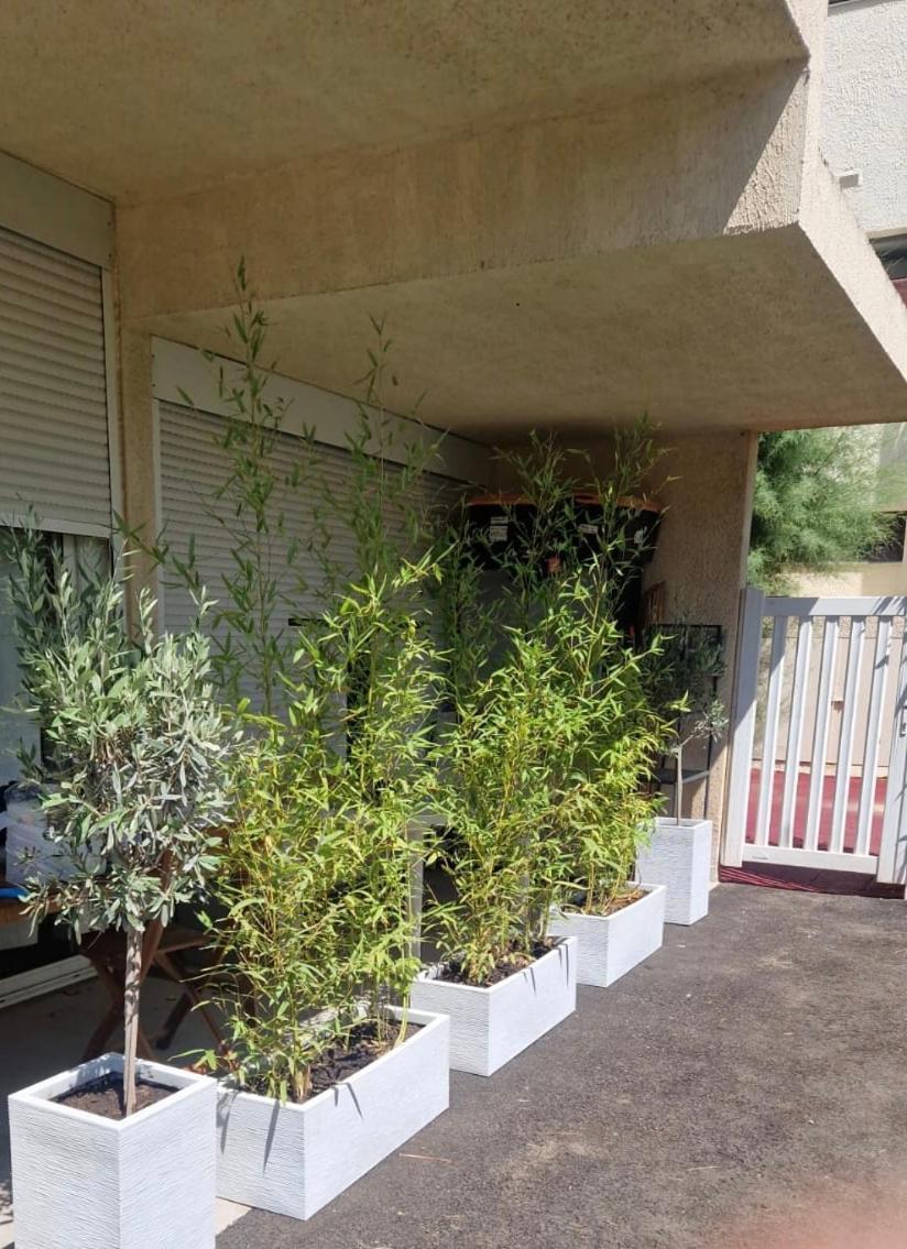 Apartamento Asklan Bormes-les-Mimosas Exterior foto