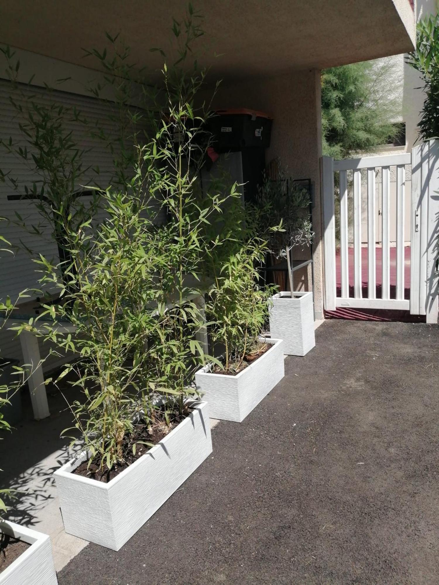 Apartamento Asklan Bormes-les-Mimosas Exterior foto